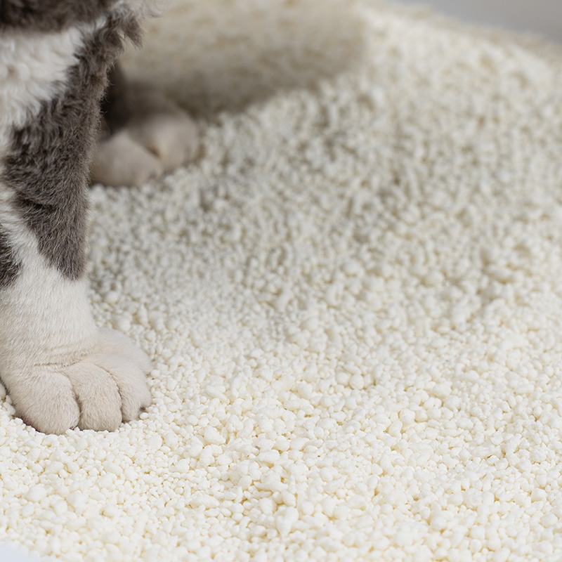 Keamanan Kotoran Jagung, Kelebihan dan Kekurangan, serta Alternatif Terbaik untuk Pemilik Kucing