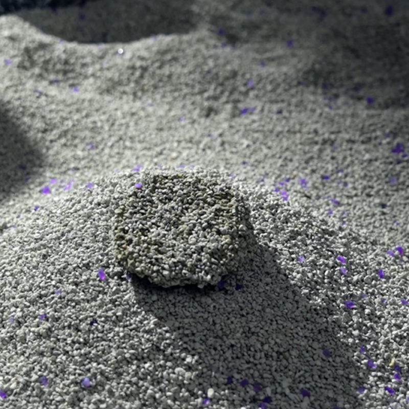 Memilih Kotoran Kucing Mineral Terbaik: Tips Praktis Agar Rumah Lebih Bersih