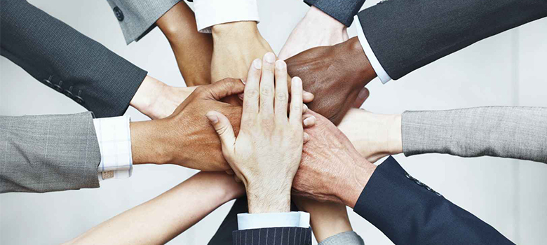 Tulus Pet Products Co., Ltd.